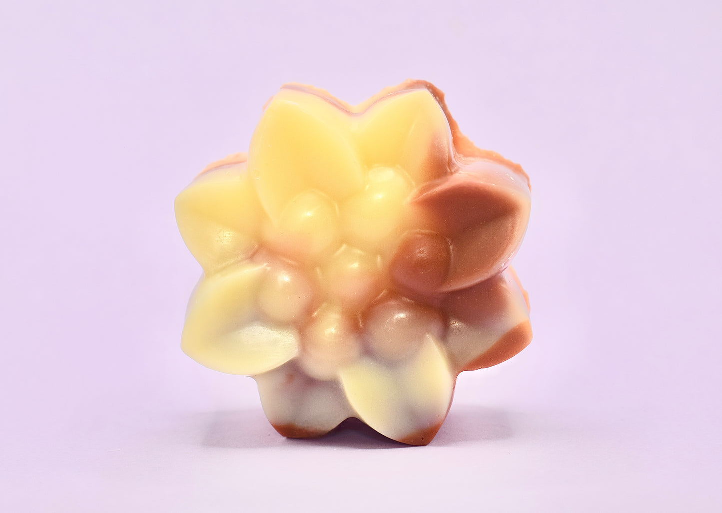 Savon fleur surgras sans parfum 2